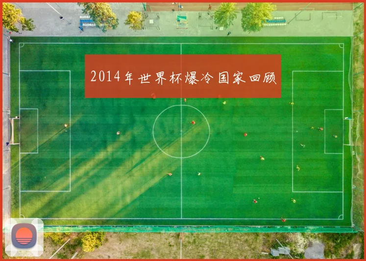 2014年世界杯爆冷国家回顾