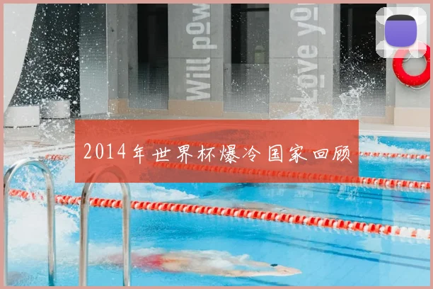 2014年世界杯爆冷国家回顾