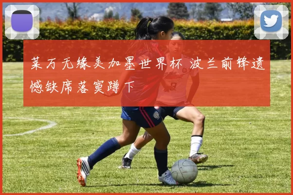 莱万无缘美加墨世界杯 波兰前锋遗憾缺席落寞蹲下