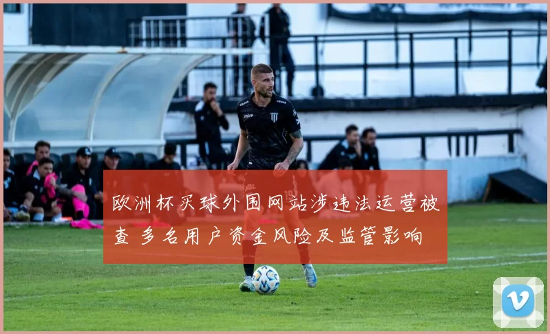 欧洲杯买球外围网站涉违法运营被查 多名用户资金风险及监管影响